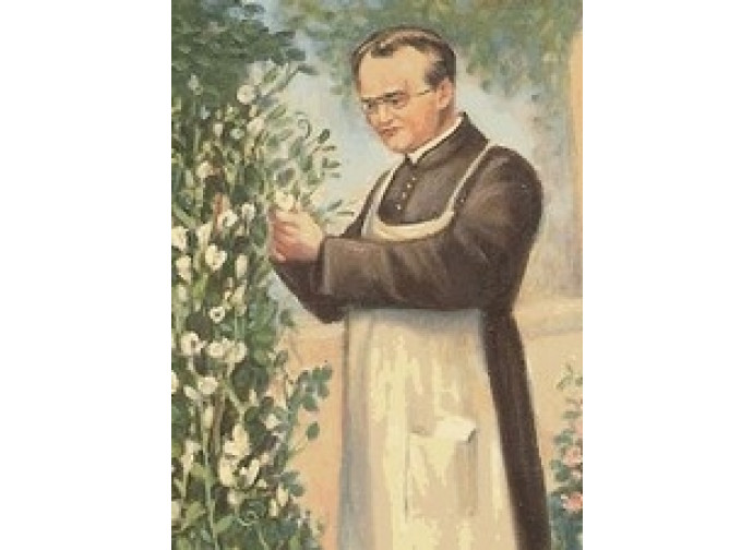 Gregor Mendel